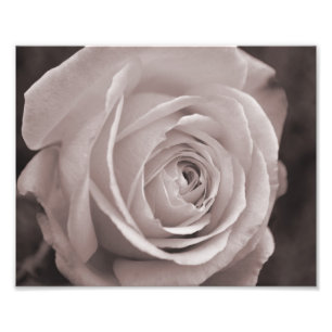 Schwarz-Weiß-Rosa 10x8 Foto-Wandkunst Fotodruck