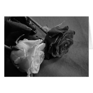 Schwarz-Weiß-Rose