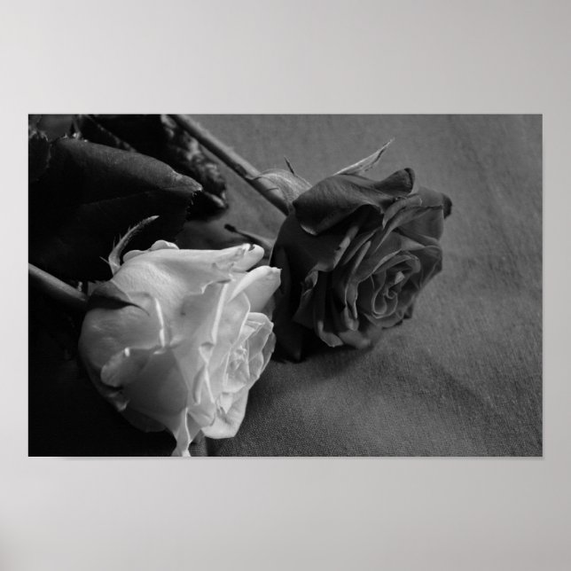 Schwarz-Weiß-Rose Poster (Vorne)
