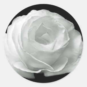 Schwarz-Weiß-Rose Runder Aufkleber