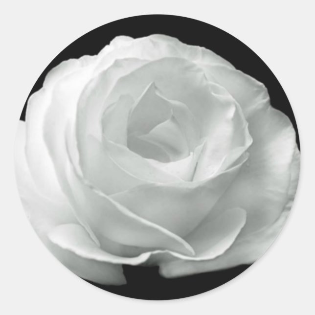 Schwarz-Weiß-Rose Runder Aufkleber (Vorderseite)