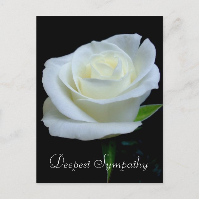 Schwarz-Weiß-Rose Tief-Beileid Postkarte (Vorderseite)