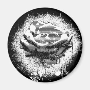 Schwarz-Weiß-Rosen-Fine-Art Magnet