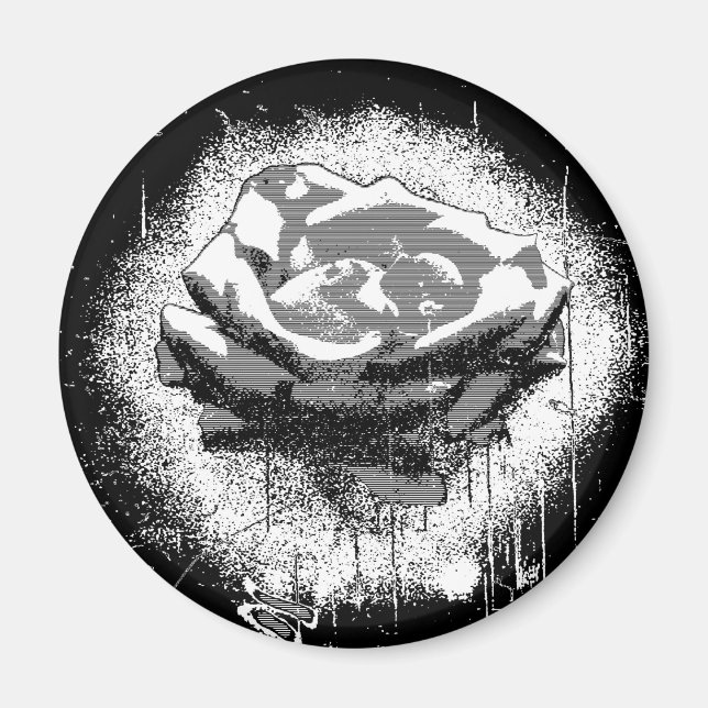 Schwarz-Weiß-Rosen-Fine-Art Magnet (Vorne)