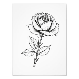 Schwarz-Weiß-Rosen-Linienkunst Fotodruck