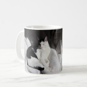 Schwarz-weiß schlafende Katze/Fügen Sie das Foto I Kaffeetasse