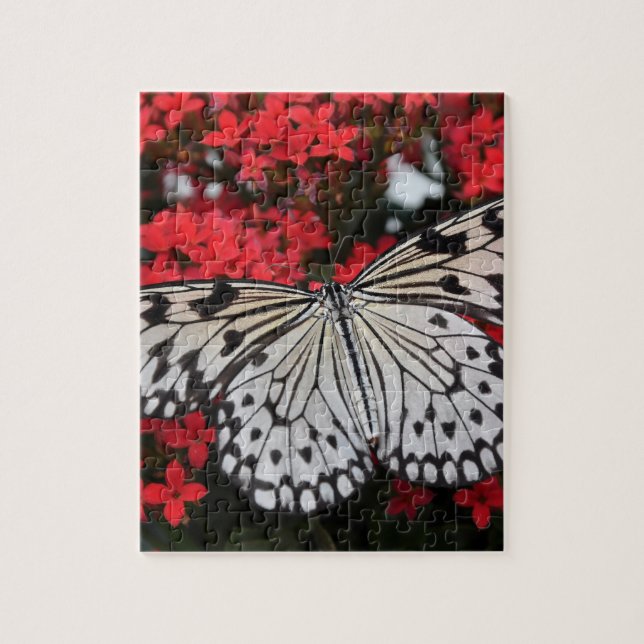 Schwarz-Weiß-Schmetterling auf roten Blume (Vertikal)