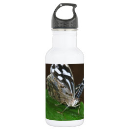 Schwarz-Weiß-Schmetterling Edelstahlflasche