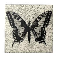 Schwarz-Weiß-Schmetterling im Hintergrund
