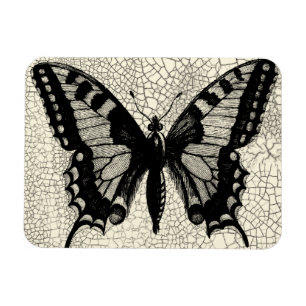 Schwarz-Weiß-Schmetterling im Hintergrund Magnet