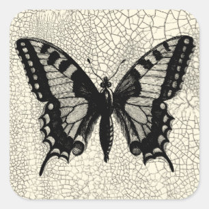 Schwarz-Weiß-Schmetterling im Hintergrund Quadratischer Aufkleber