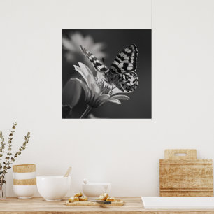 Schwarz-Weiß-Schmetterling Poster