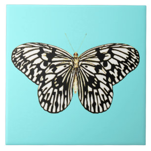 Schwarz-Weiß-Schmetterling, türkisfarbener Hinte Fliese
