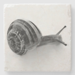 Schwarz-Weiß-Schnecke Steinuntersetzer