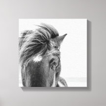 Schwarz-Weiß Schönes Wildpferd - Canval Print 2