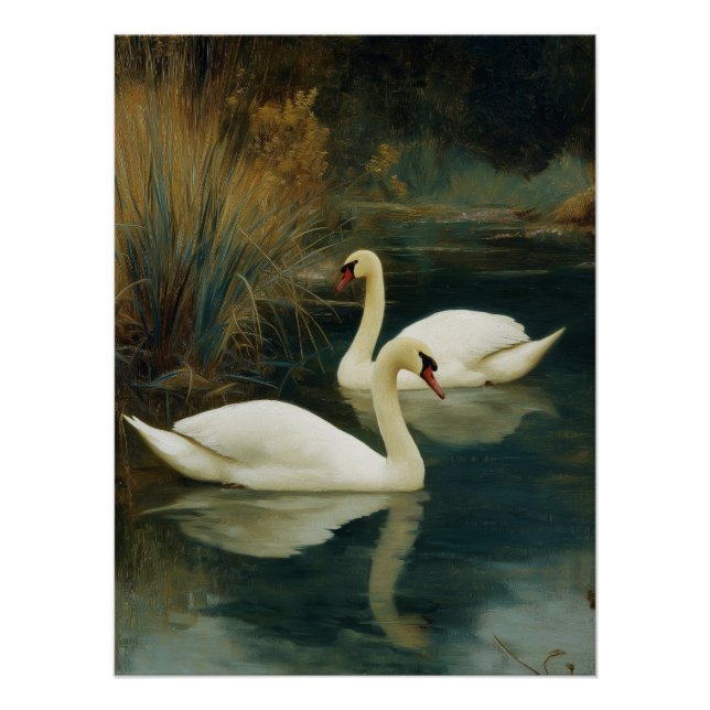 Schwarz-Weiß-Schwan-Paarplakat Poster (Vorderseite)