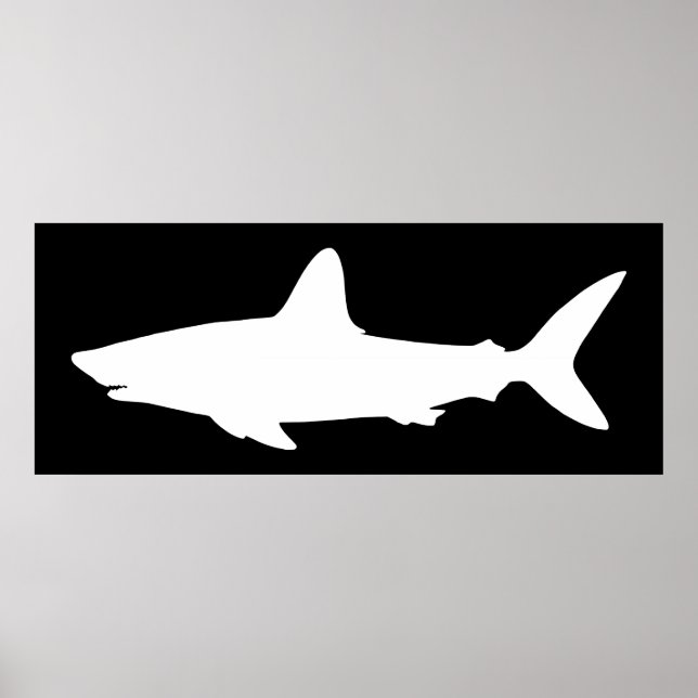 Schwarz-Weiß-Schwimmhai Poster (Vorne)