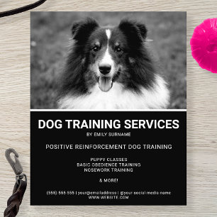 Schwarz-weiß-Shetland-Schäferhund-Foto Hundetraine Flyer
