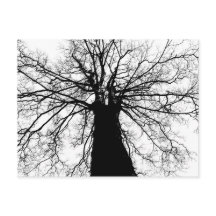 Schwarz-Weiß-Silhouette - Postkarte