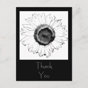 Schwarz-Weiß-Sonnenblumen Vielen Dank Postkarte