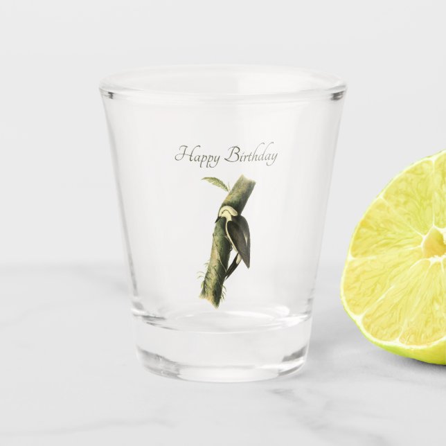 Schwarz-Weiß-Specht Schnapsglas (Vorderseite)