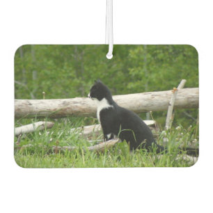 Schwarz-Weiß-Stall Kitten Autolufterfrischer
