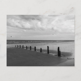 Schwarz-Weiß-Strand-Postkarte Postkarte