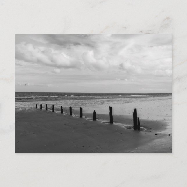 Schwarz-Weiß-Strand-Postkarte Postkarte (Vorderseite)
