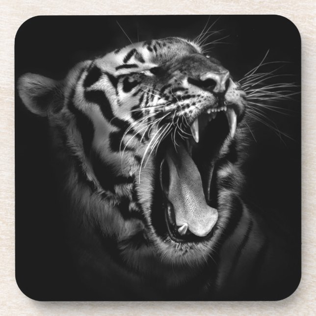 Schwarz-Weiß-Tiger Getränkeuntersetzer (Vorderseite)