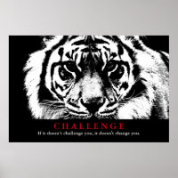 Schwarz-Weiß-Tiger Inspiration-Herausforderung
