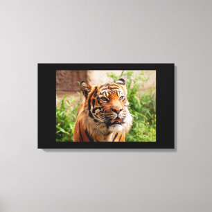 Schwarz-Weiß-Tiger-Leinwand Leinwanddruck