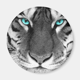 Schwarz-weiß Tiger Magnet