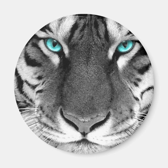 Schwarz-weiß Tiger Magnet (Vorne)