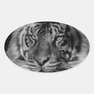 Schwarz-Weiß-Tiger Ovaler Aufkleber