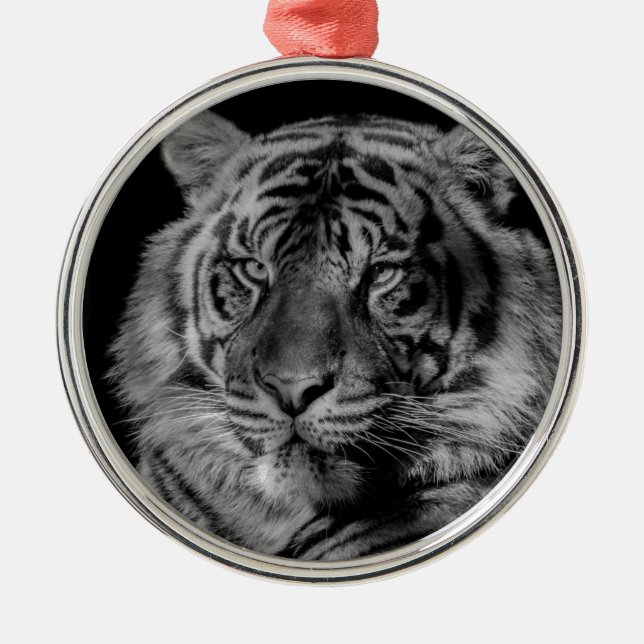Schwarz-Weiß-Tiger Silbernes Ornament (Vorne)