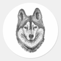 Schwarz-Weiß-Tinte und Aquarell-Sibirischer Husky