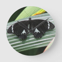 Schwarz-Weiß-Tropenschmetterlingsuhr