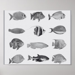 Schwarz-Weiß-tropische Fische Printmedien Kunst Poster