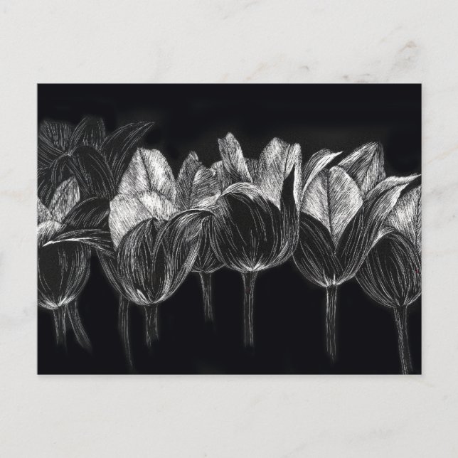 Schwarz-weiß Tulip Garden Blume Scratchboard Postkarte (Vorderseite)