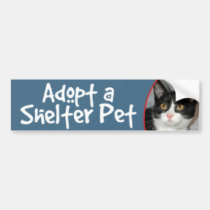 Schwarz-Weiß-Tuxedo-Katzen-Aufkleber/Autoaufkleber Autoaufkleber