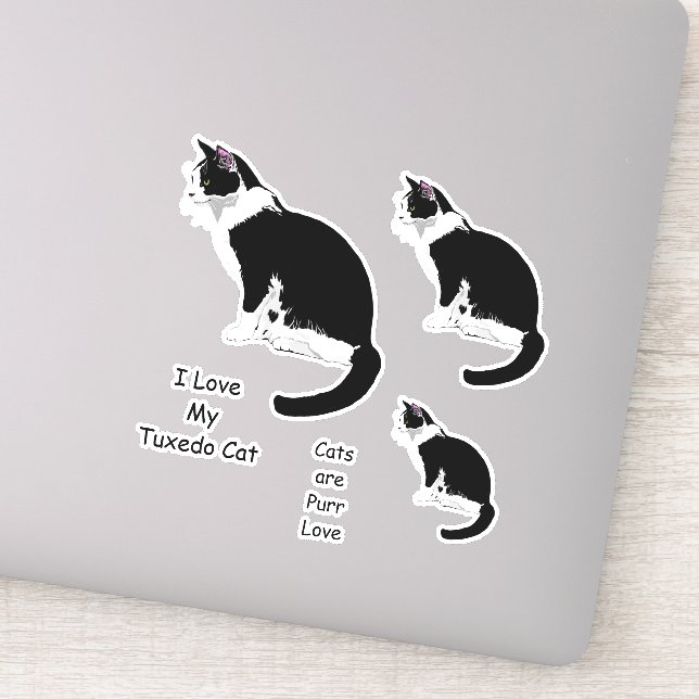 Schwarz-Weiß-Tuxedo-Katzen-Aufkleber-Set Aufkleber (Detail)
