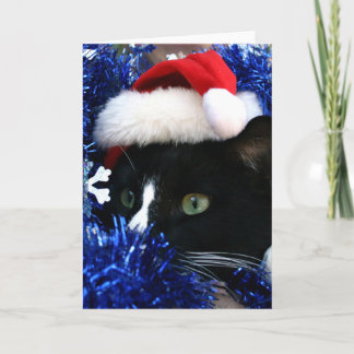 Schwarz-Weiß-Tuxedo-Katzenjungwein Feiertagskarte