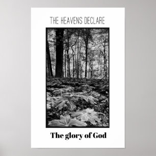 Schwarz-Weiß-Wald-Ruhm Gottes-Poster Poster