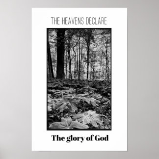 Schwarz-Weiß-Wald-Ruhm Gottes-Poster Poster