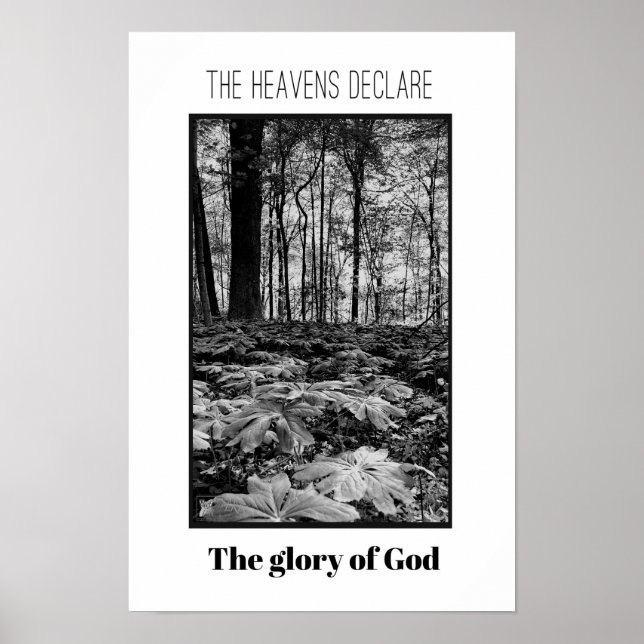 Schwarz-Weiß-Wald-Ruhm Gottes-Poster Poster (Vorne)