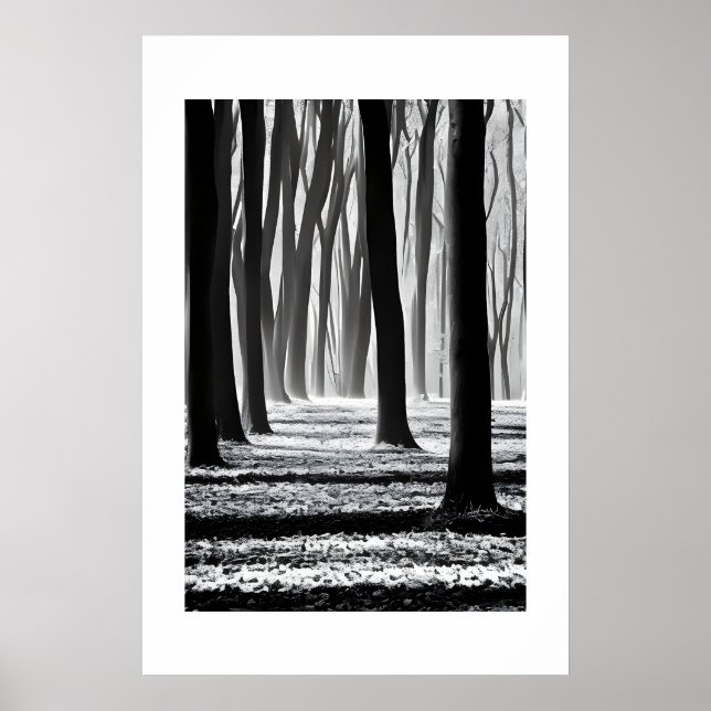 Schwarz-Weiß, Waldmotif-Schöpfung. Poster (Vorne)