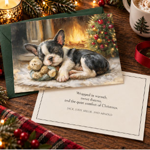 Schwarz Weiß Welpe Hund Schlafende Weihnachten
