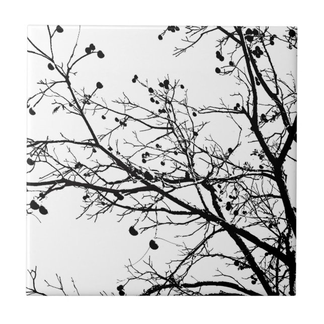 Schwarz-Weiß-Winterbaum Fliese (Vorderseite)