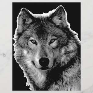 Schwarz-Weiß-Wolf