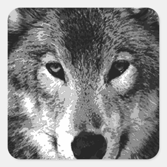 Schwarz & Weiß Wolf Augen Quadratischer Aufkleber (Vorderseite)